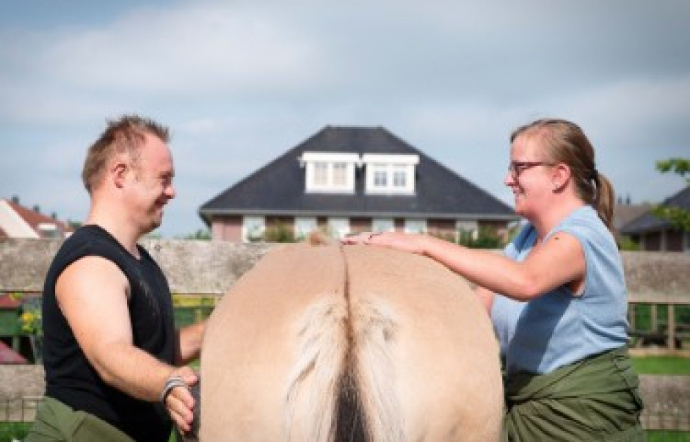 Samen naar de Manege